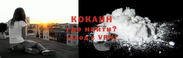 ешки Горняк