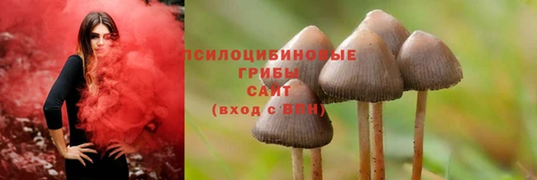 кокаин Горнозаводск