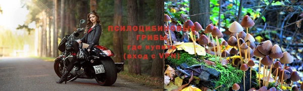 ешки Горняк