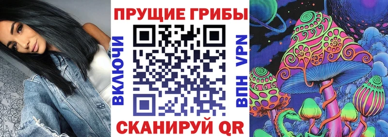 Галлюциногенные грибы прущие грибы  Купить  Вичуга 