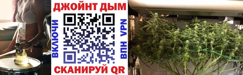 Шишки марихуана конопля  Купить закладки  Вичуга 